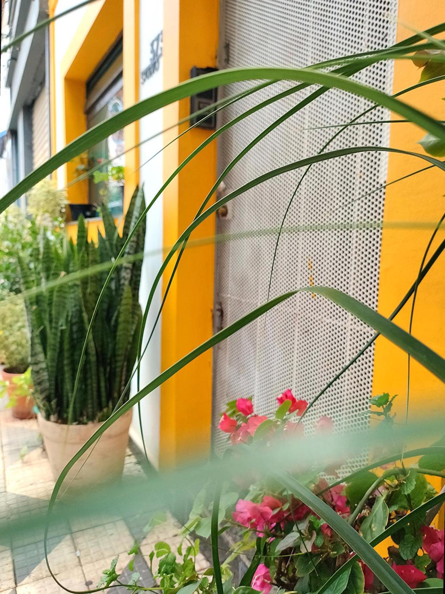 Casa 373 - Hospedaria Vila Mariana - Valores Acessiveis Sao Paulo Bagian luar foto